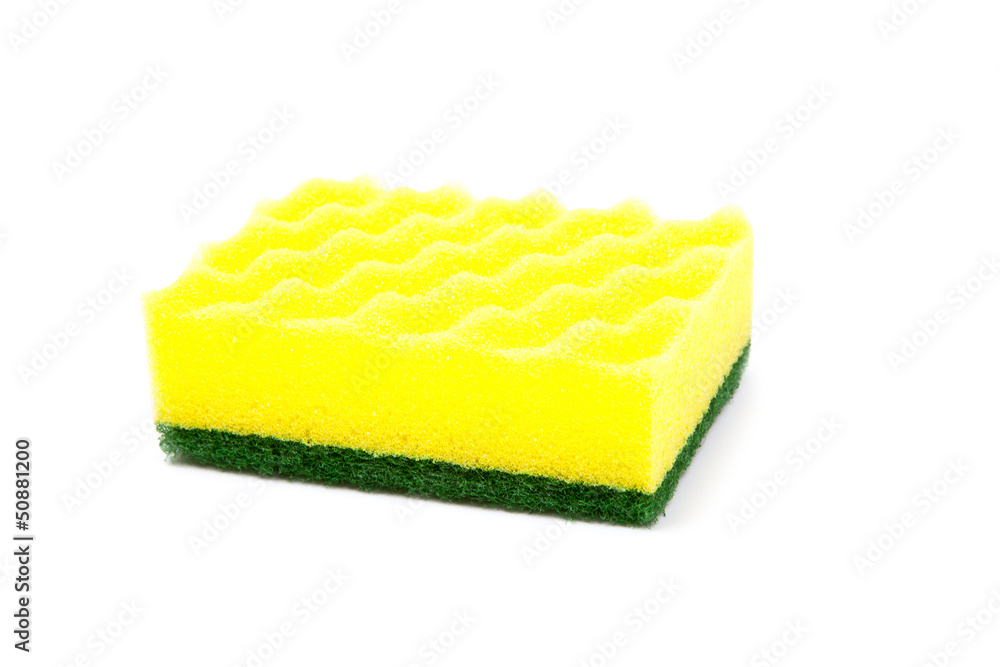 sponges sponges