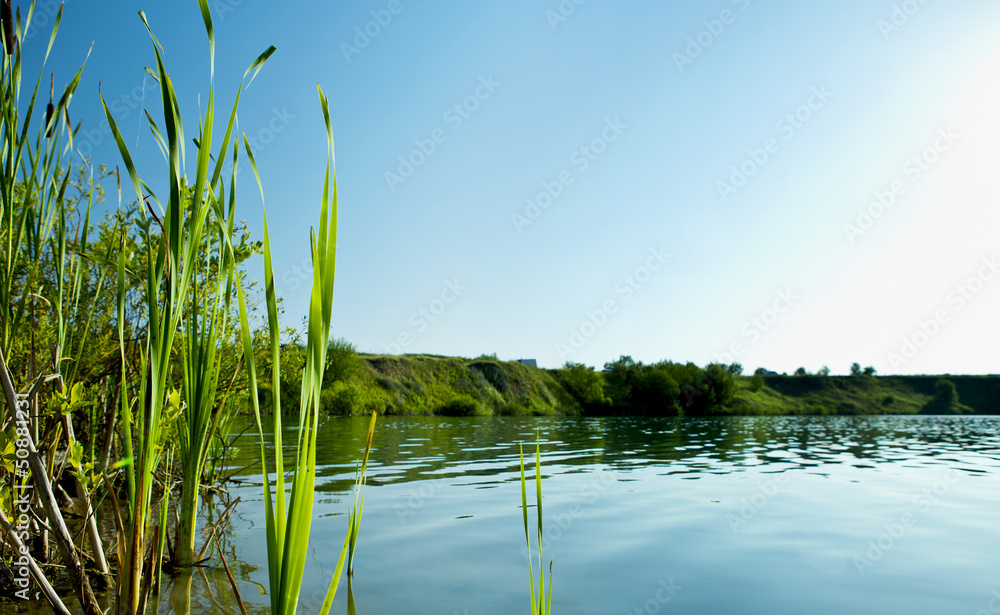Obraz premium river