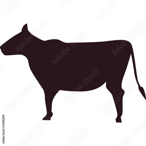 manzo