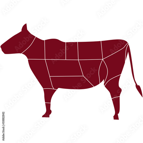 manzo