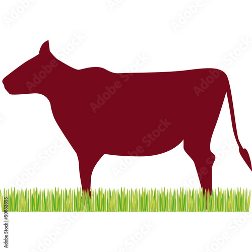 manzo