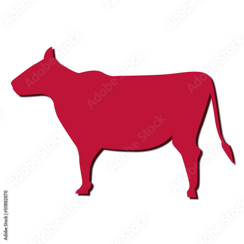 manzo