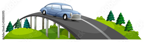 A car passing over the bridge