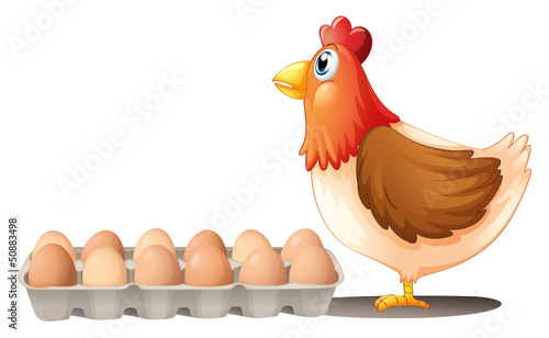 A chicken and a tray of eggs