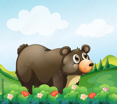 A big brown bear in the garden