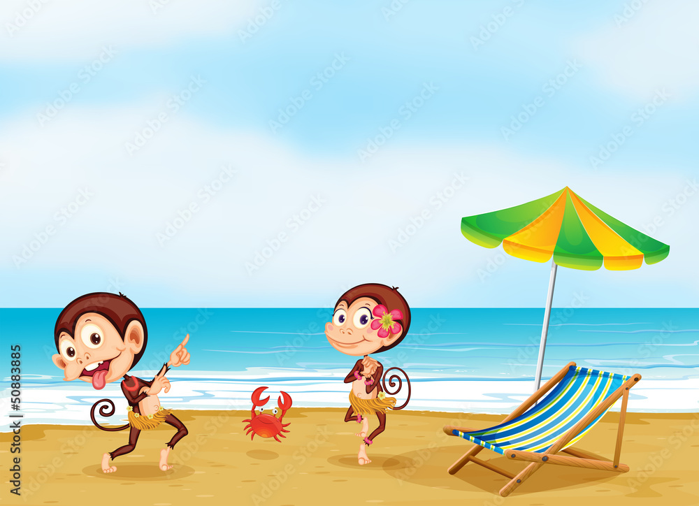 Two monkeys dancing with a little crab at the beach