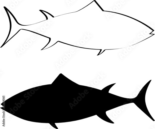 tuna fish