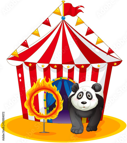 A panda beside the fireball