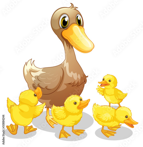 The brown duck and her four yellow ducklings