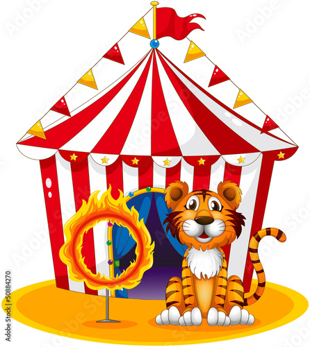 A circus tent at the back of the tiger and the ring of fire