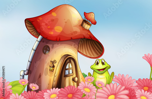 A frog near the mushroom house with a garden of flowers