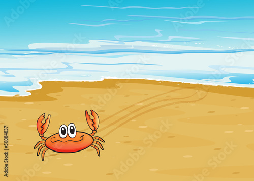 A crab crawling at the seashore