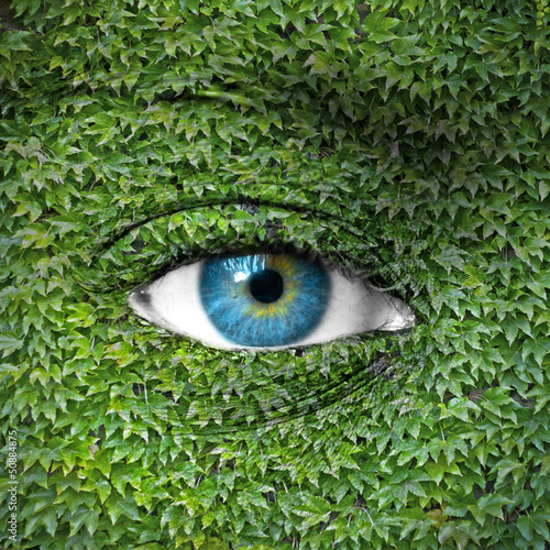 Blue human eye and ivy leaves - Green concept