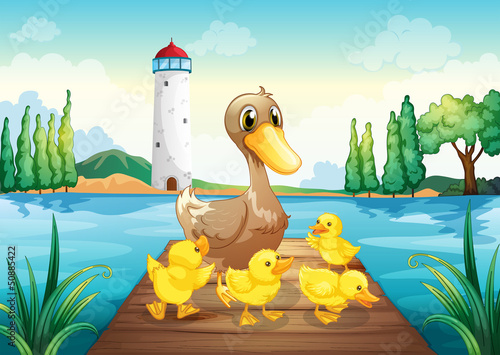 A mother duck with four baby ducks in the wooden bridge