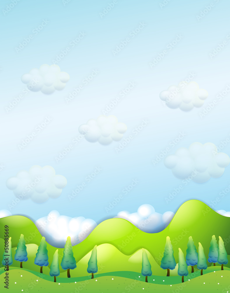 Obraz premium The pine trees at the hills