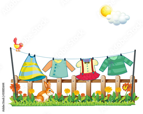 A bunny below the hanging clothes