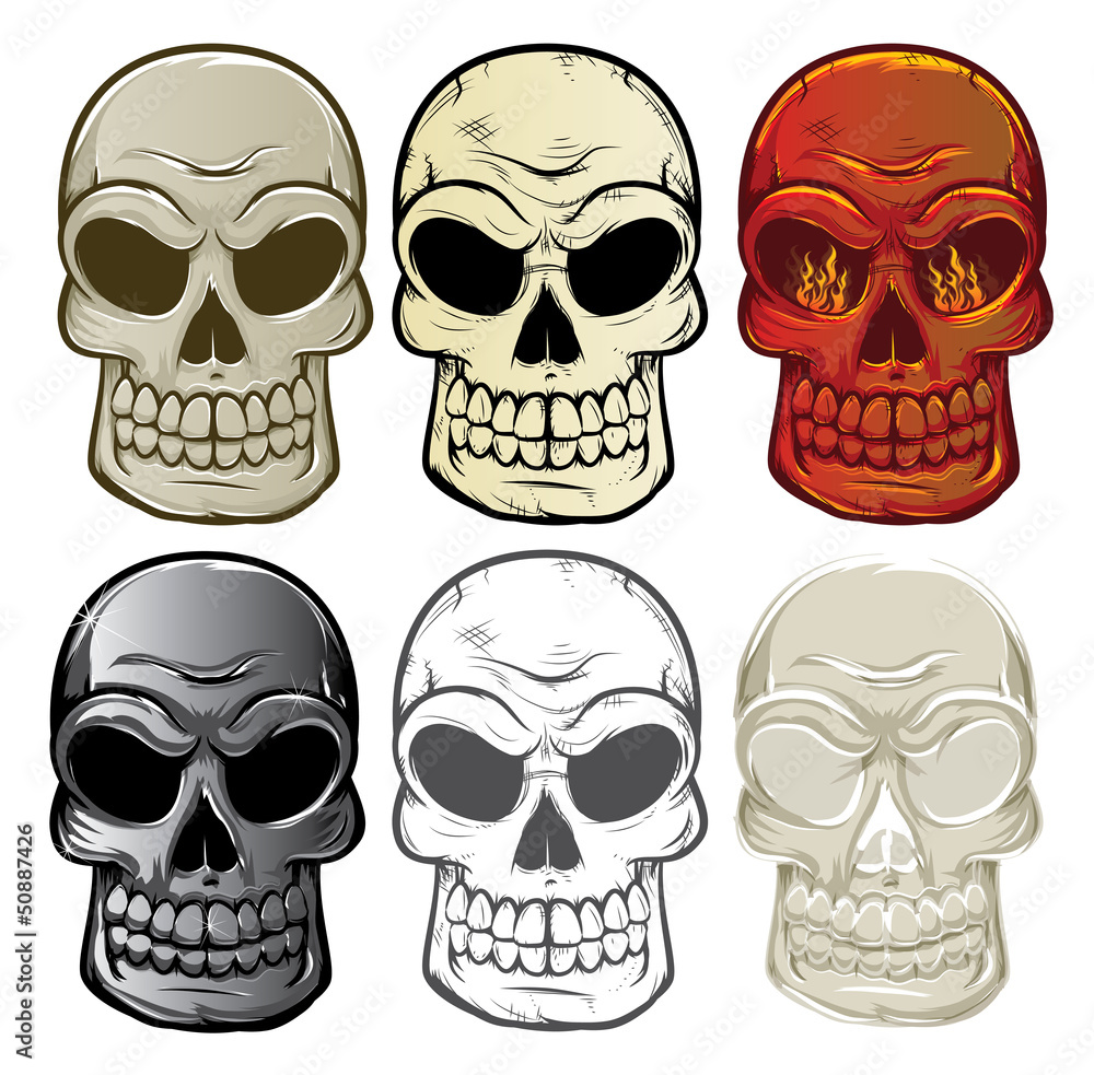 Skull Collection Skull Collection