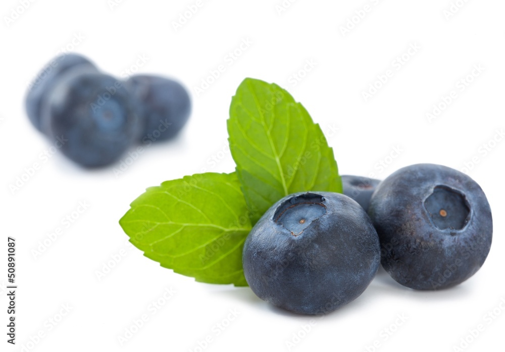 Blueberries isolated_V Blueberries isolated_V