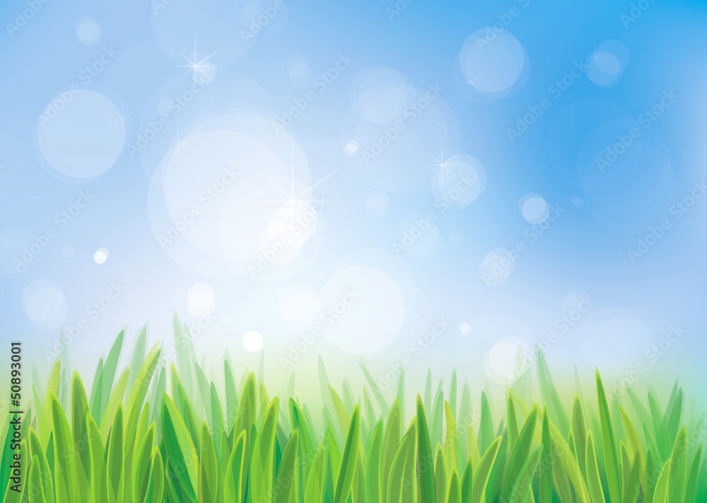 Vector of spring background, blue sky and green grass.