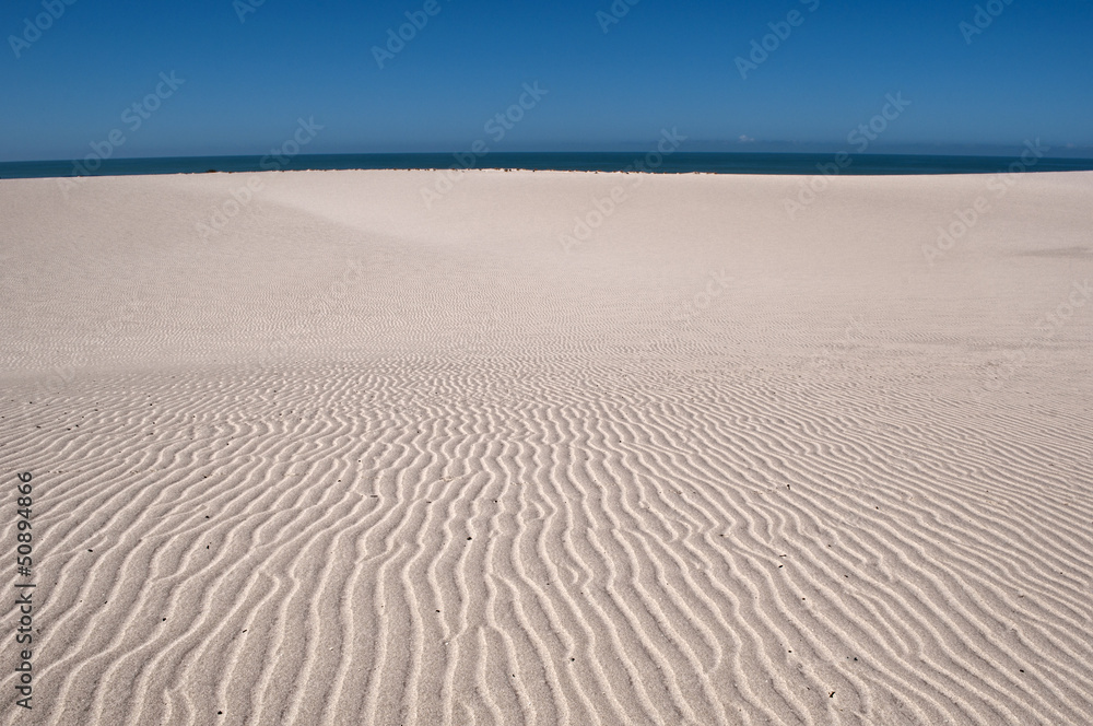 Obraz premium dunes on beach