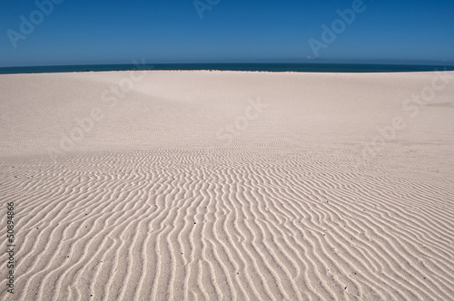 dunes on beach