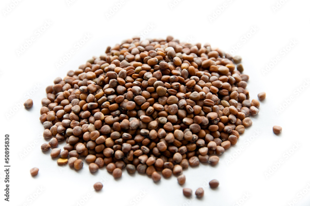 Pile of argula seeds Pile of argula seeds