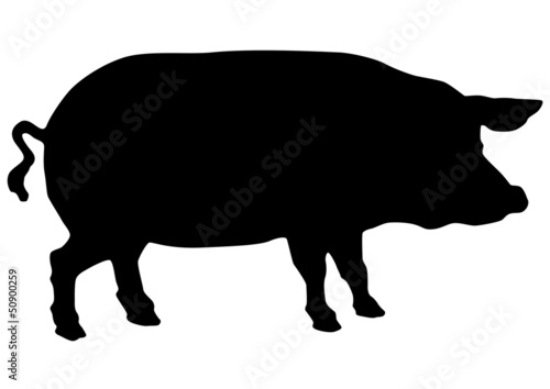 porc