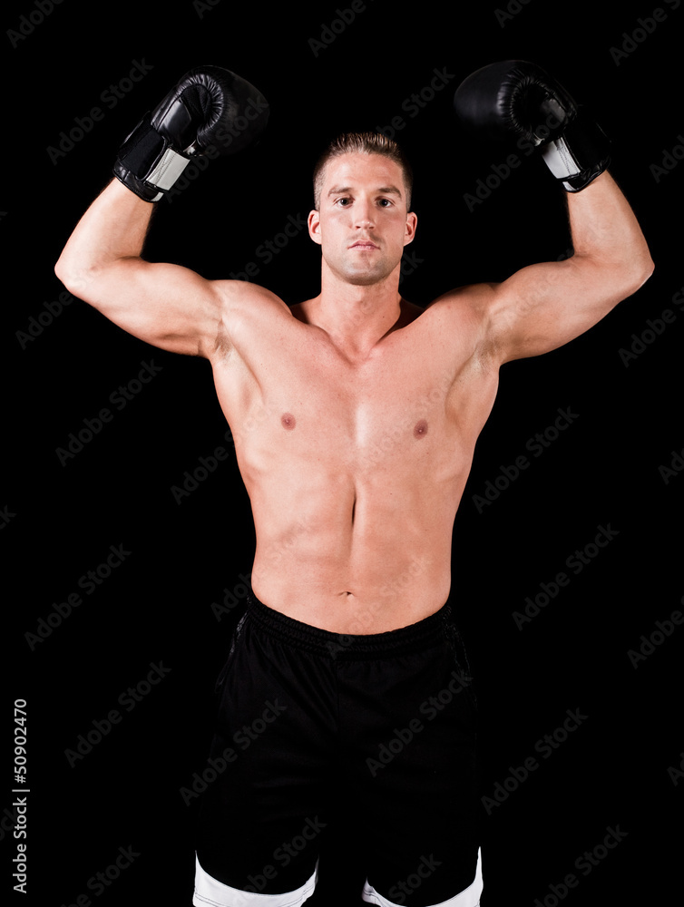 Boxer ready for fight Boxer ready for fight
