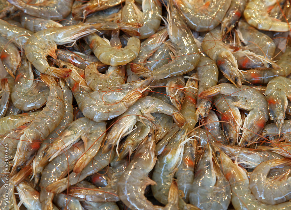 Fresh prawns