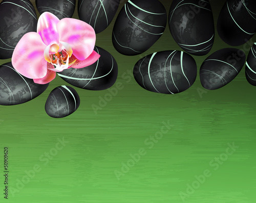 vector spa background with stones and orchid