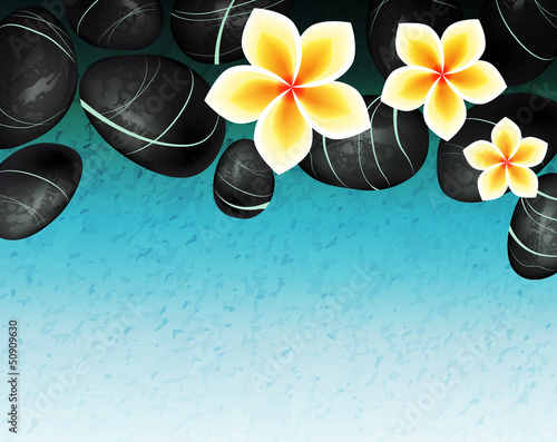 spa background with stones and flowers