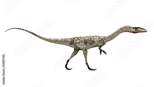 Dinosaurier Coelophysis photo