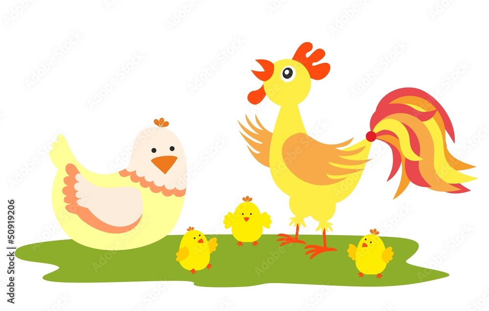 Chickens family
