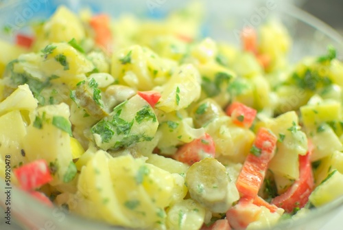 Kartoffelsalat mit frischem Gemüse