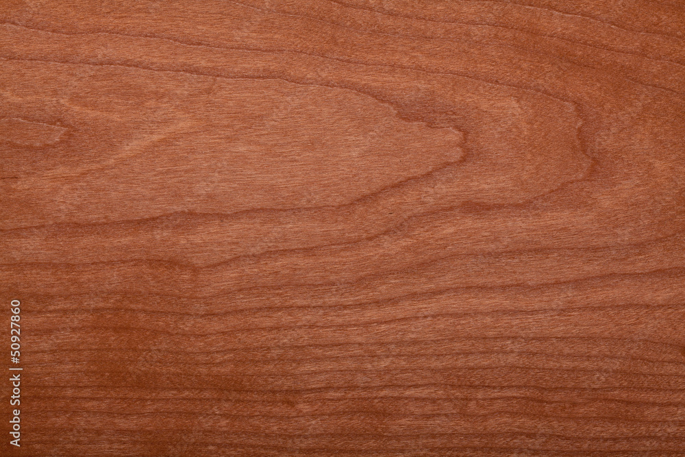 wood texture wood texture