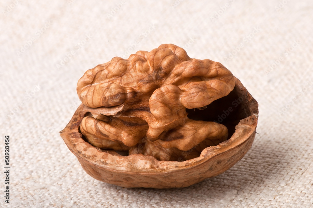 walnuts on a background of old fabric walnuts on a background of old fabric