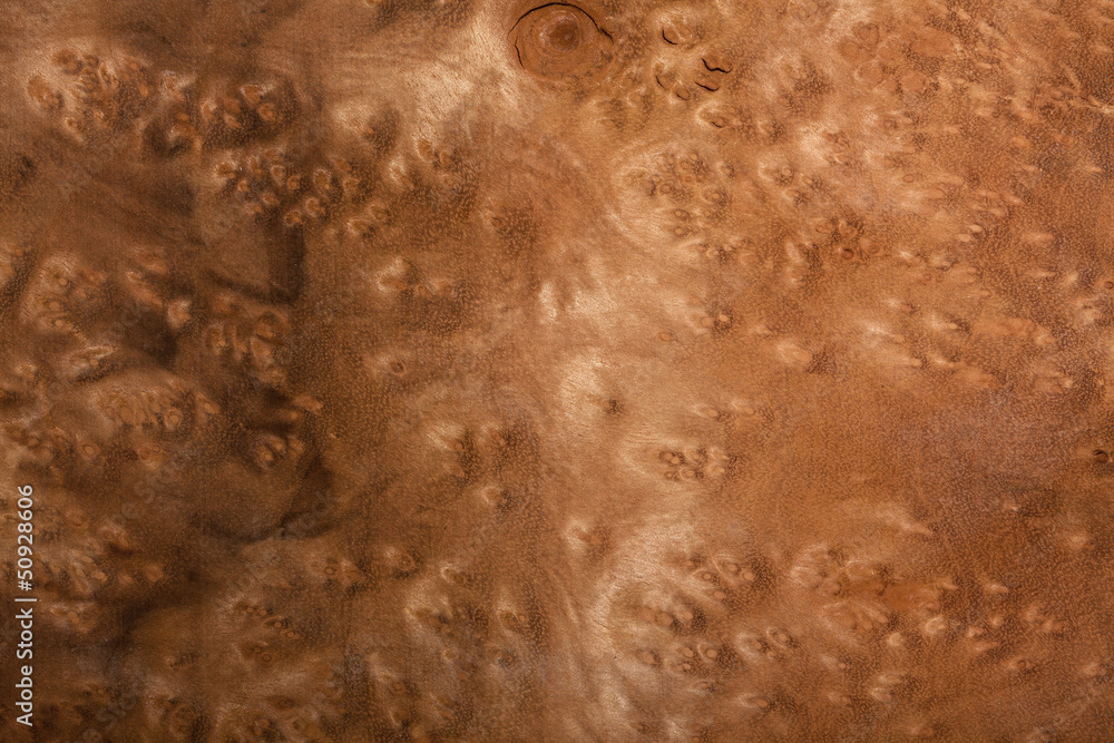 wood texture wood texture