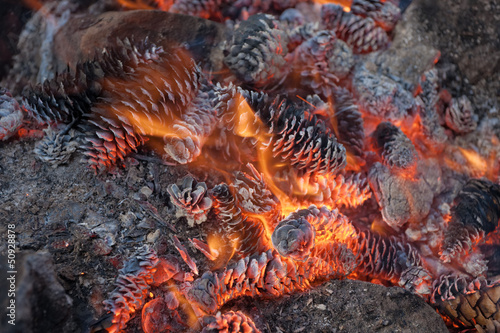 burning cones © Maslov Dmitry
