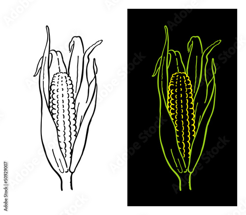 Corn