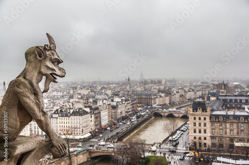 Paris in cloudy day from the top of Notre Dame Cathedral