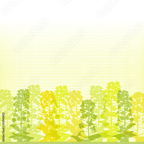 菜の花 コピースペース Rape blossom silhouettes on lined background