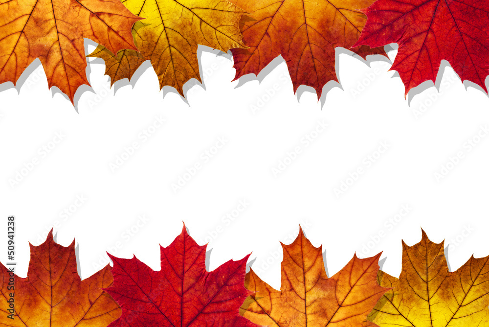 autumn leaves frame on a white background autumn leaves frame on a white background