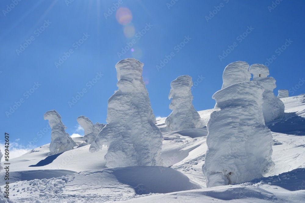 山形蔵王の樹氷 山形蔵王の樹氷
