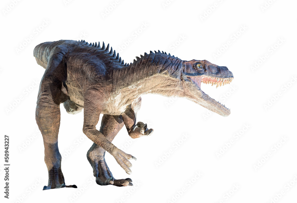 Obraz premium Przywrócenie dinozaura Herrerasaurus na białym tle