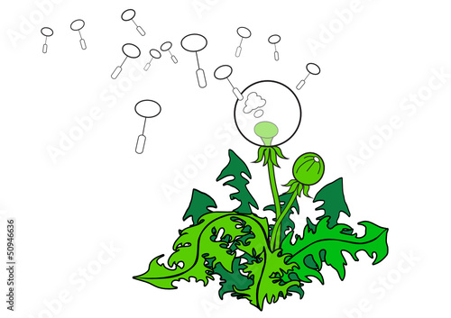 Blowball Puffball Dandelion