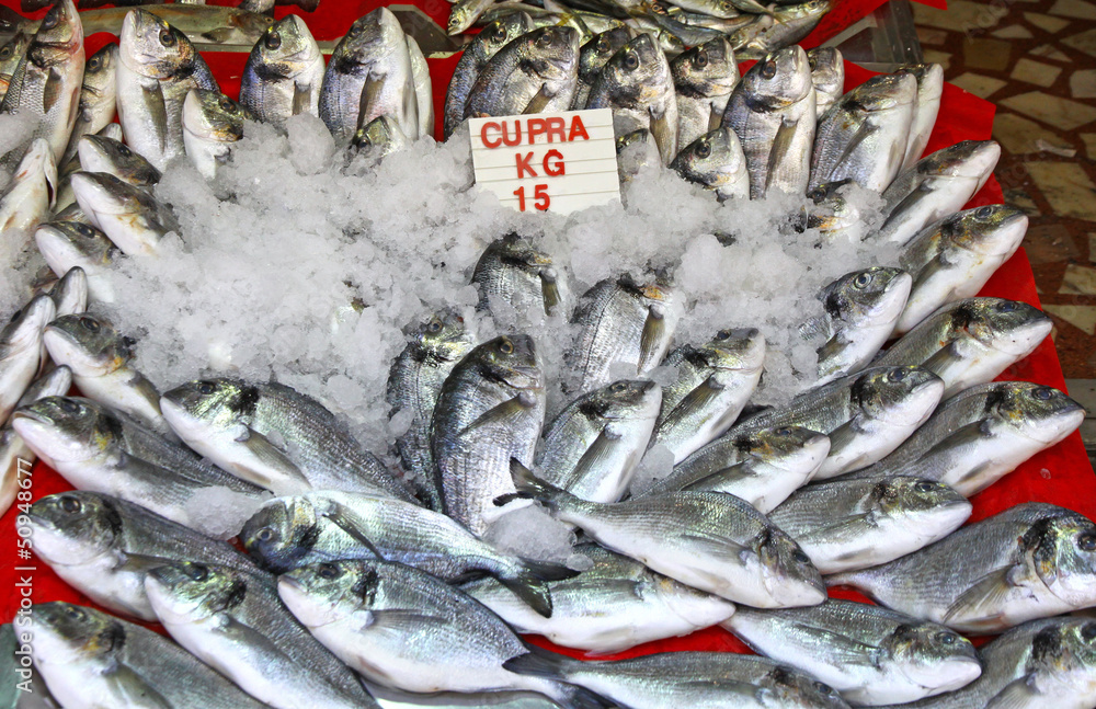 Snapper fish in ice on a market stall Snapper fish in ice on a market stall
