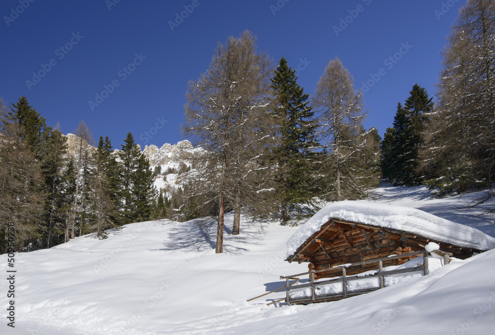 hut in snowy woods, Costalunga pass