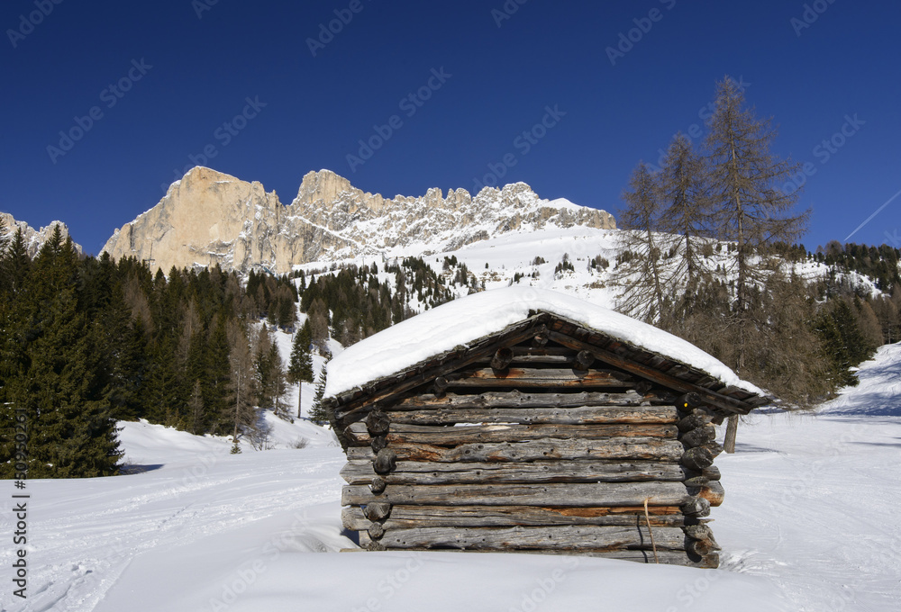 Rosengarten and wooden hut, Costalunga pass