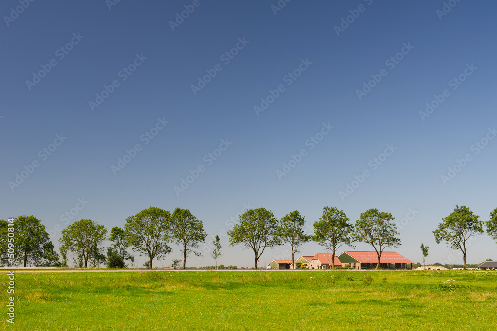 Fototapeta premium Dutch landscape with farmhouse