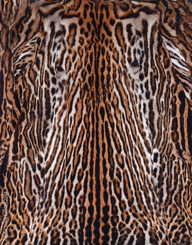 real leopard skin